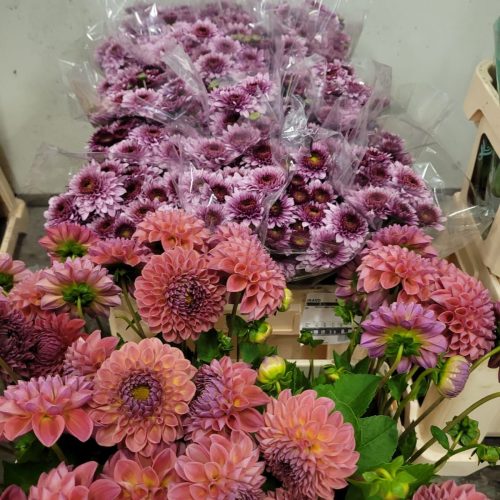 herbstbkumen4