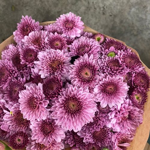 herbstblumen