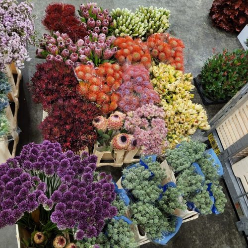 herbstblumen5